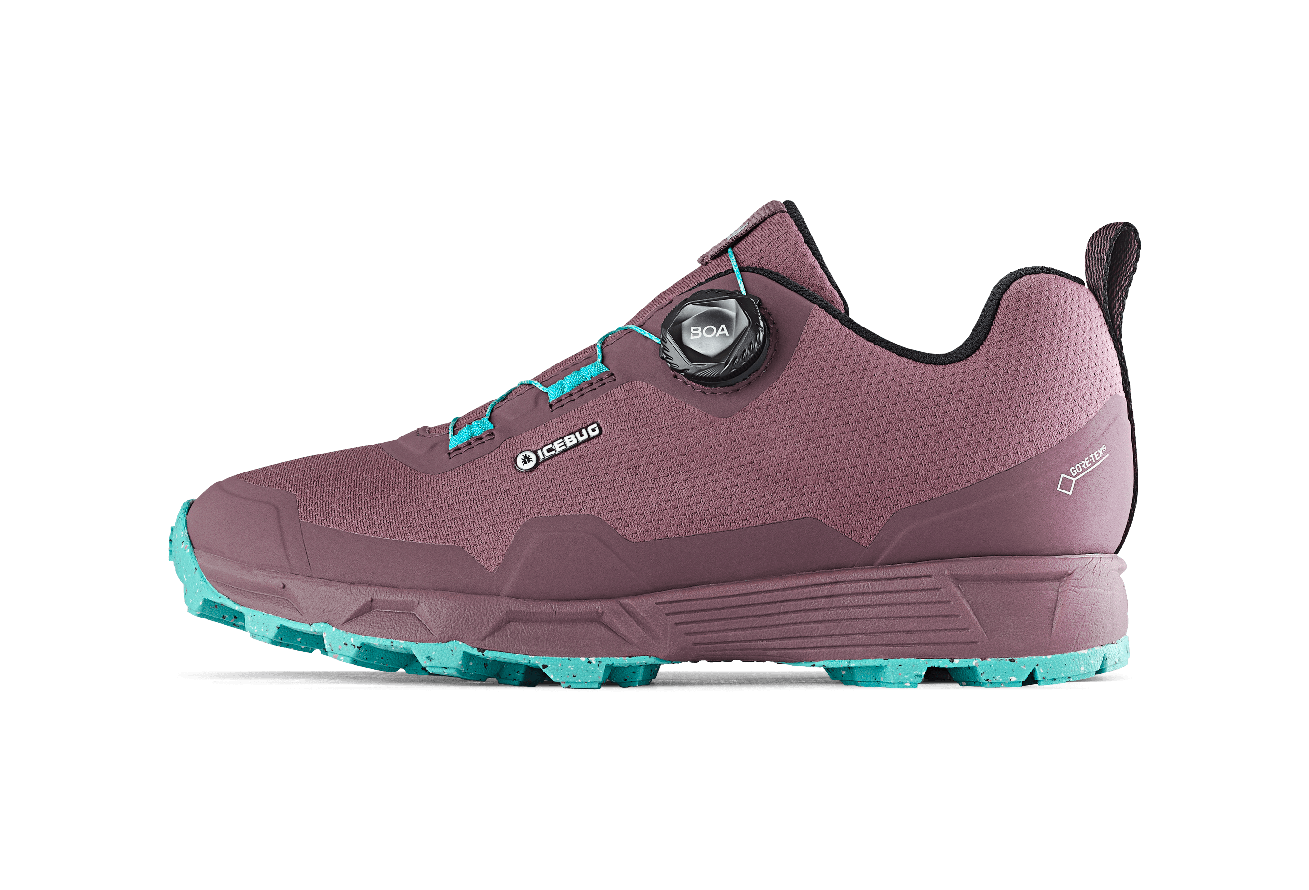Rover Women's RB9X GTX - DustPlum/Mint